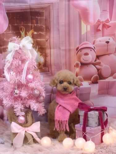 20241227ノアちゃん